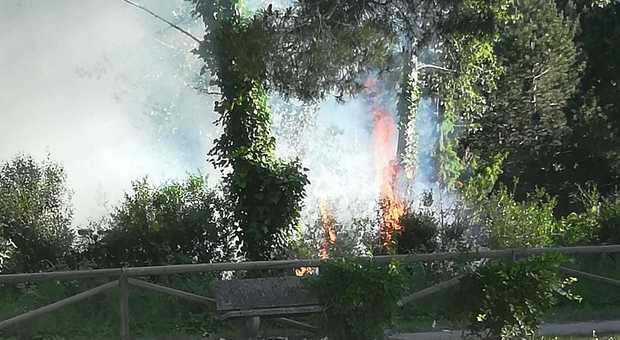 Brucia la pineta vicino alle Terme, paura in città: colpa di una sigaretta