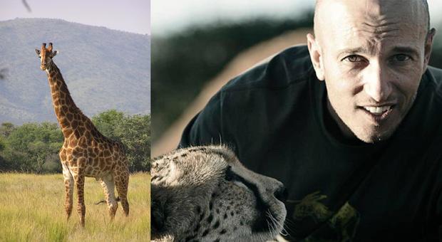 Il regista ucciso dal colpo di collo di una giraffa mentre gira un film in Africa