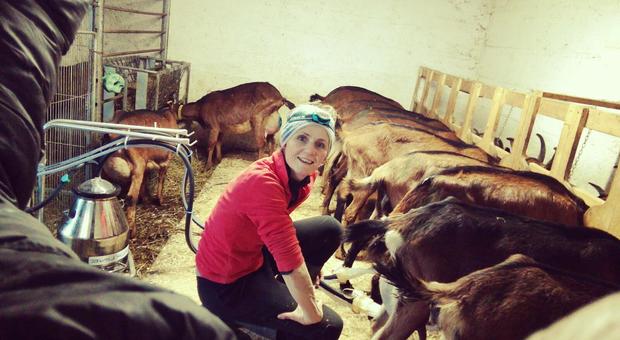 L'ex direttrice della Posta di Gosaldo Liliana De Nato ora è diventata un allevatore di capre