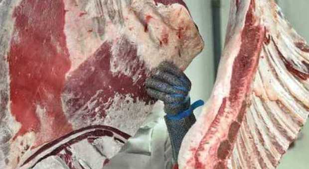 Francia, nuovo scandalo sulla carne equina: forse venduta anche in Italia