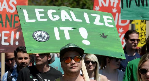 Cannabis, il ddl approda alla Camera: è subito duro scontro tra favorevoli e contrari