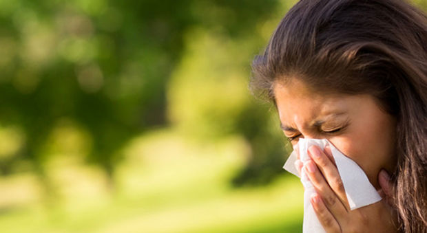 Arriva il picco delle allergie da pollini: tutta colpa del brutto tempo