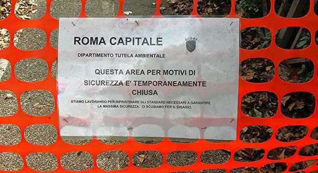 Roma, albero crolla sul parco giochi al Nomentano: da settimane i bambini non possono entrare