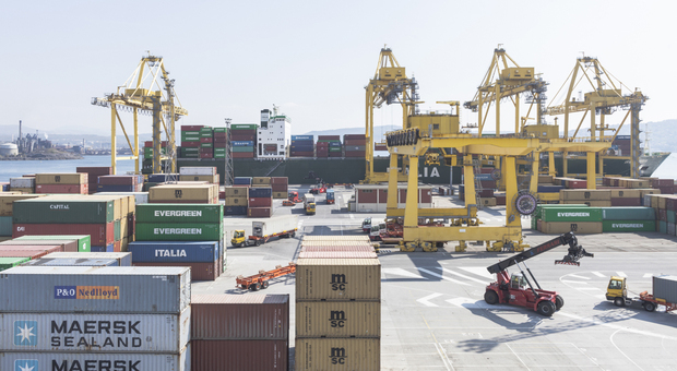 Maxi sequestro di 4.500 filtri per auto contraffatti nel porto di Trieste