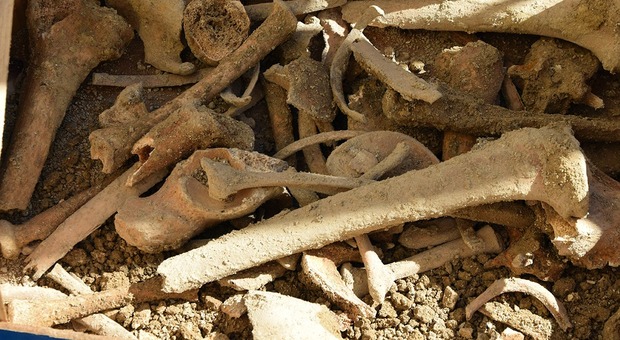 Ossa umane ritrovate dentro un bidone: scoperta choc ad Avellino. Sarebbero di due corpi diversi