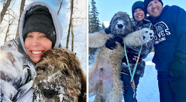 Si tuffa nel fiume ghiacciato per salvare il suo cane: Amanda e Groot trovati morti abbracciati