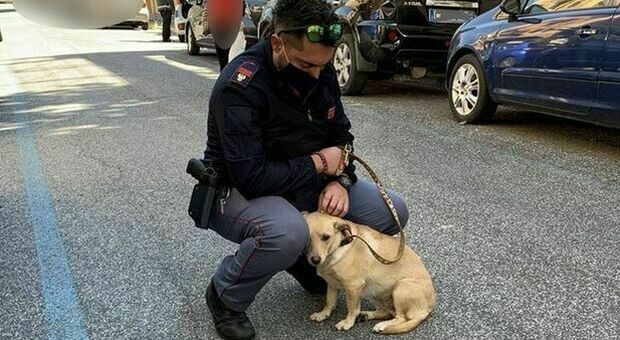 Roma, cagnolina legata a un palo sotto il sole: adottata dal poliziotto che l'ha salvata