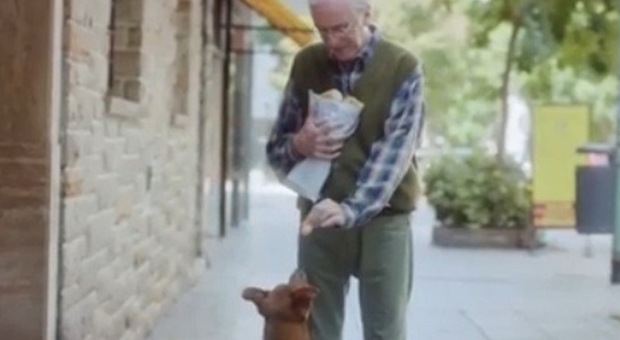 Un cane, il suo padrone e il trapianto d'organi: ​il video di sensibilizzazione commuove il web