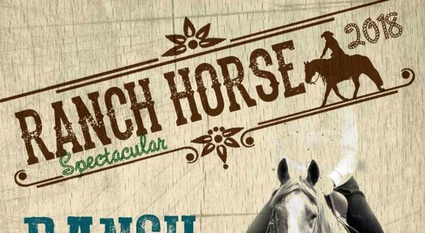 Equitazione da ranch il 28 ottobre a Tor San Giovanni: torna il vecchio West con la potenza dei quarter horse