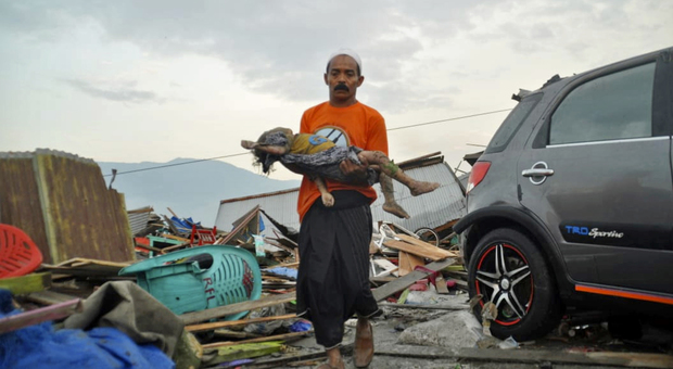 Terremoto e tsunami in Indonesia, è strage: 384 morti sull'isola di Sulawesi