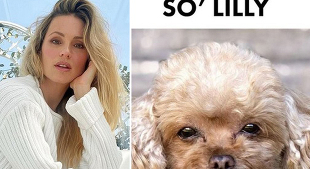 Michelle Hunziker e il suo cane, il barboncino Lilly (Instagram)