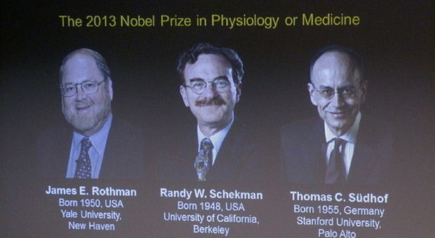 James E. Rothman, Randy W. Schekman e Thomas C. Sudhof