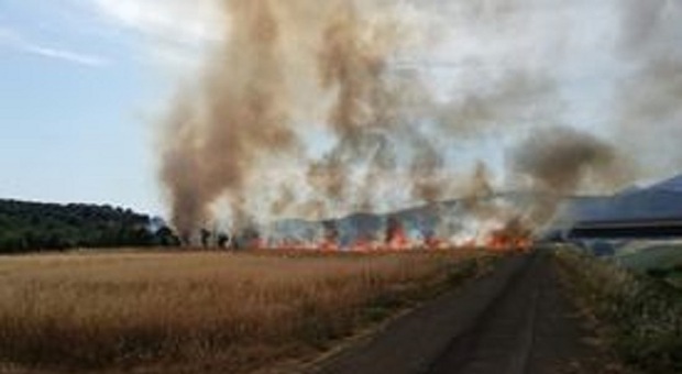 Priverno, il fuoco distrugge una piantagione di grano e minaccia le abitazioni e un distributore