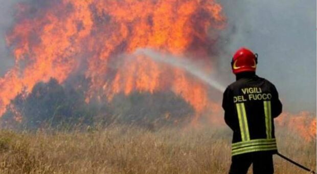 Incendio a Penna San Giovanni, in fumo 8 ettari ma bosco salvo. Al lavoro vigili del fuoco di Macerata e Tolentino