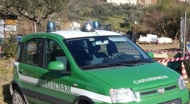 Caccia nel Parco del Vesuvio fermato 55enne col fucile