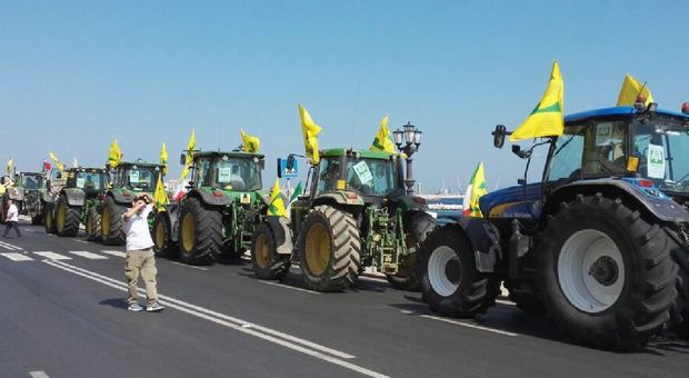In piazza 5mila trattori a difesa del grano italiano