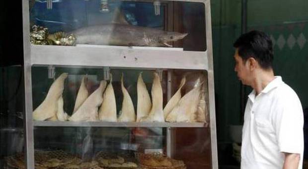 Roma, pesce avariato al ristorante cinese tre persone denunciate