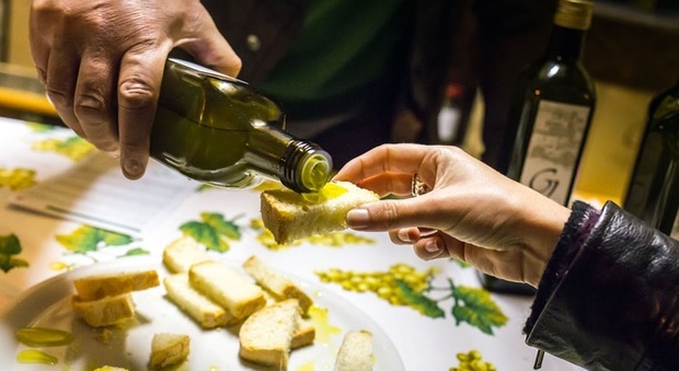 Cartoceto in festa per il suo oro: l'olio d'oliva dop è un vero nettare