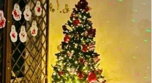 All'asilo sparite le luci dell'albero: «Hanno rubato il Natale ai bimbi»