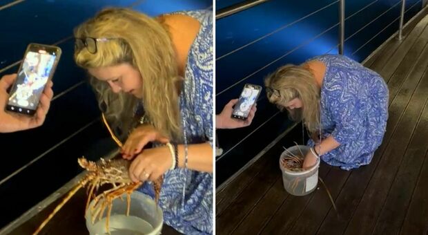 Turista svizzera compra un'aragosta dal ristorante e la libera in mare: «Voleva salvarla dalla morte»