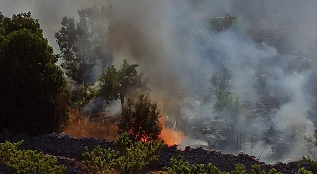 Incendio tra Ostuni e Cisternino, le fiamme avanzano ancora: rasi al suolo 50 ettari di bosco e uliveti