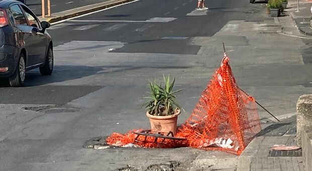 Napoli, dissesto non riparato e qualcuno ci mette una pianta: pericolo in via Argine