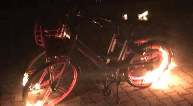 Pesaro, vandali scatenati: bruciata una bicicletta del "bike sharing"