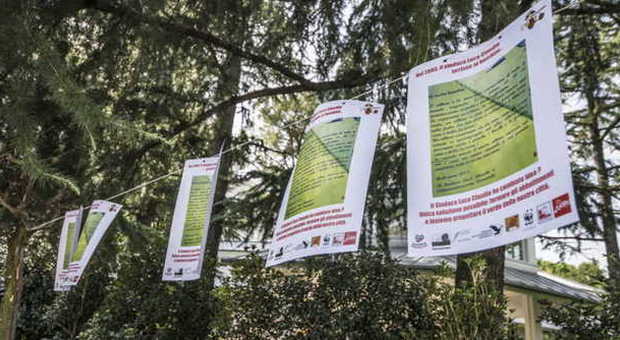 Guerra degli alberi: protesta contro i tagli di 117 piante