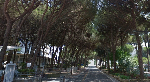 Viale dei pini a Rosolina Mare