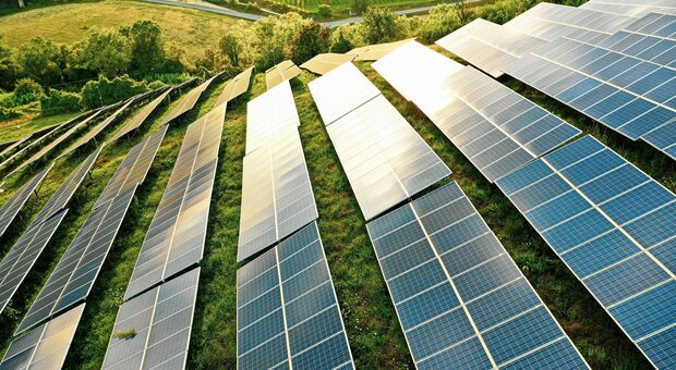 Mega fotovoltaico a Pian di Vico (Tuscania), il Tar boccia l'ennesimo ricorso: sì ai pannelli su 250 ettari