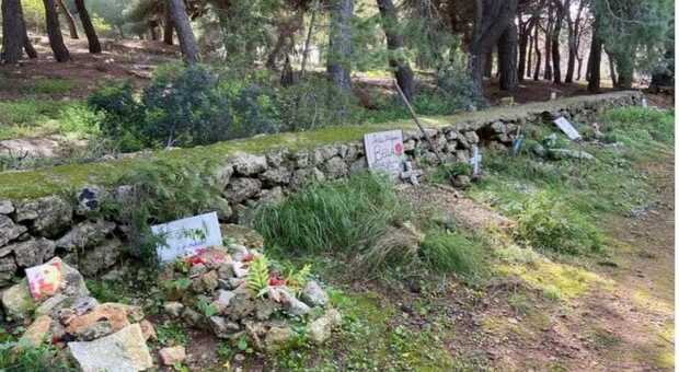 A Gallipoli un cimitero per animali "spontaneo"