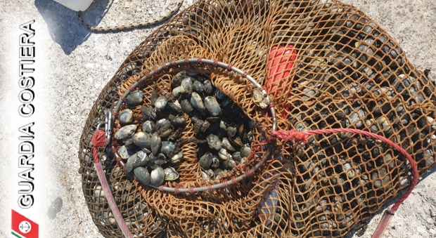 Castellammare, ancora vongole veraci avvelenate: tre pescatori denunciati