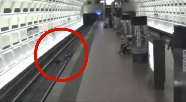 Disabile sviene e finisce con la carrozzina sui binari del metrò: un uomo si lancia e... -Guarda