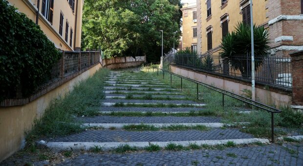 Le strade di Roma come una giungla: sette su dieci sono invase dalle erbacce