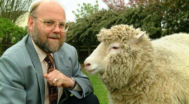 Ian Wilmut, morto il “padre” della pecora Dolly: fu il primo biologo a clonare la vita