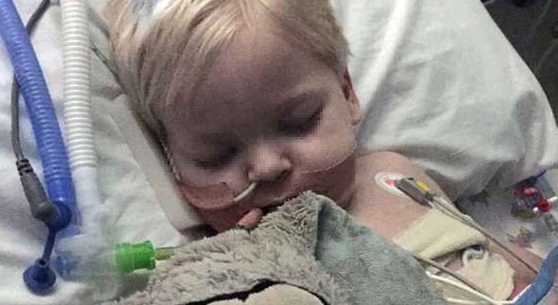 Bimbo di due anni in coma si sveglia mentre i genitori stanno staccando la spina