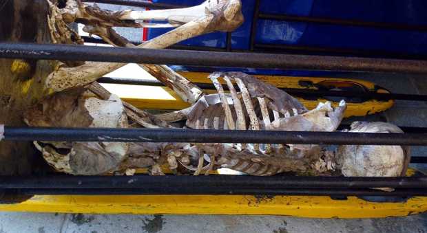 VENEZIA I resti della mummia scivolata in canal grande nei giorni scorsi