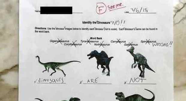 "Identifica i dinosauri". La risposta dell'alunno ai compiti è imprevedibile