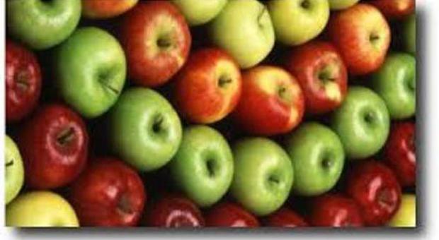 Contrordine, 2 mele al giorno tolgono il medico di torno: il colesterolo scende