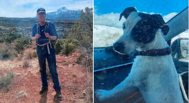 Uomo scomparso da agosto viene ritrovato morto in montagna: il suo cane (vivo) era al suo fianco, ha vegliato su di lui per 2 mesi