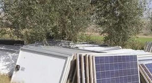 Furti seriali di pannelli solari: sgominata banda con base a Salerno