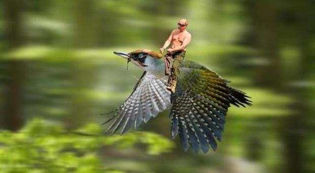 La Russia vieta i meme sul web: "Putin non ha gradito quelli che lo deridono"