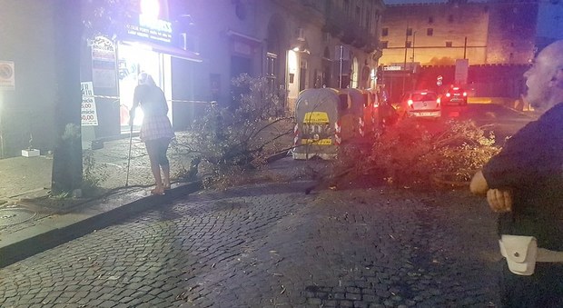 Maltempo a Napoli, albero cade davanti al Maschio Angioino e sfiora i passanti