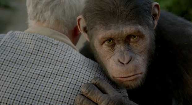 Stasera in tv, oggi martedì 16 novembre su Rai 4 «L'alba del pianeta delle scimmie»: curiosità e trama del film con James Franco