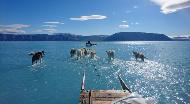 Ghiacci sciolti in Groenlandia, la slitta corre sull’acqua: la foto del cambiamento climatico