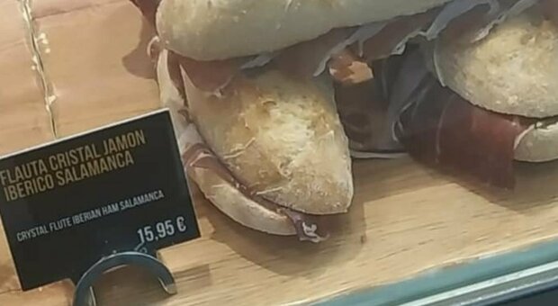 Panino al prosciutto a 15,95 euro, il prezzo "salato" in aeroporto è virale: «Pensavo fosse per tutto il vassoio»