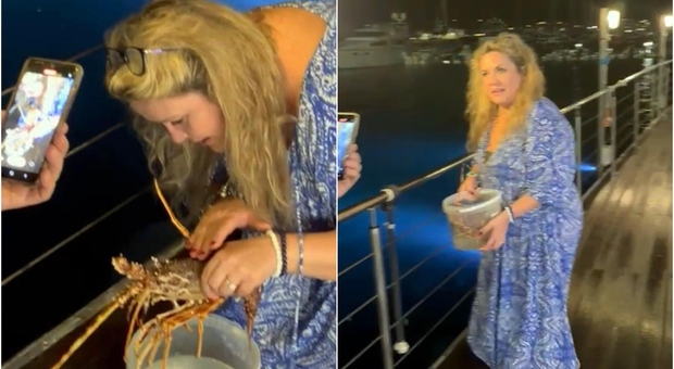 Turista compra un'aragosta in un ristorante in Sardegna per liberarla il mare. Il gesto fa il giro del web