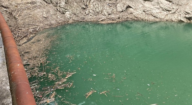 Pieve di Cadore, schiuma sospetta nel lago: «L'acqua del depuratore porta a valle rifiuti»