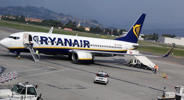 Ryanair e i bagagli a mano, Codacons pensa a una class action: "Rincaro occulto, ecco perché"