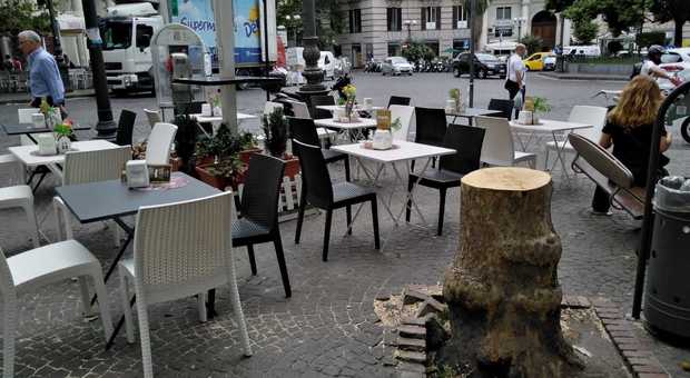 Napoli, alberi caduti e aiuole ghetto ma il Comune ha 289 operai